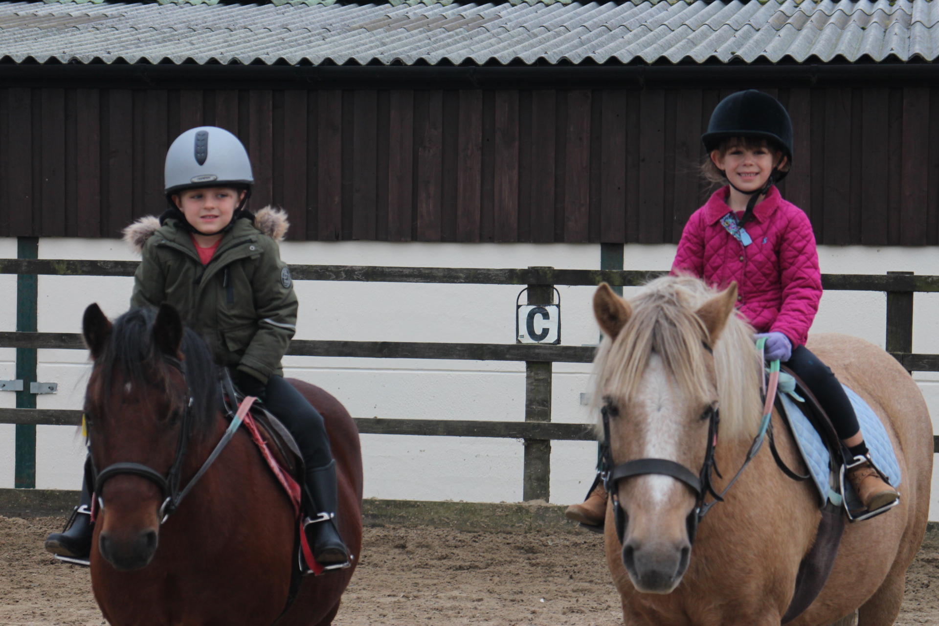 Lessons and Hacks - Happy Valley Equestrian Centre